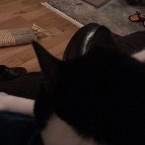 Meet your Posher, Katrina